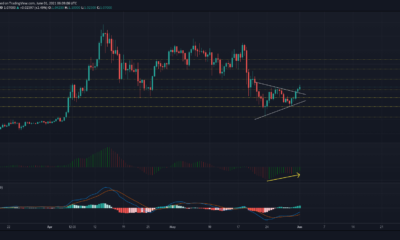 XRP、ドージコイン、MATIC 価格分析: 6 月 1 日