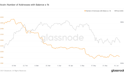 ビットコインクジラは投資を再戦略化していますか？