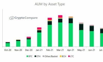 「インでもアウトでもない」–ビットコインの短期的な価格行動がこれに依存する理由