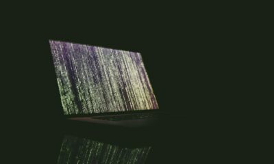 Bitcoin.orgに対するDDoS攻撃：「Ungratefulscum」はどのような手順を踏んだのですか？