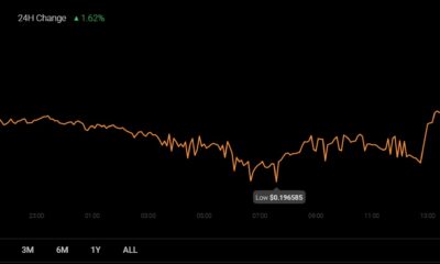 「遅い」ビットコイン、イーサリアムに直面してこれを行うDOGEには「メリット」があるかもしれません