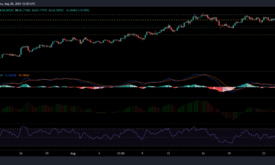ビットコインキャッシュ、トロン、ファイルコインの価格分析：8月28日