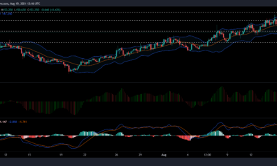 ビットコインSV、XLM、ドージコインの価格分析：8月19日