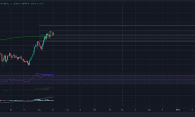 これはビットコインブルにとって別の機会ですか