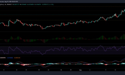 EOS、BAT、VeChainの価格分析：8月19日