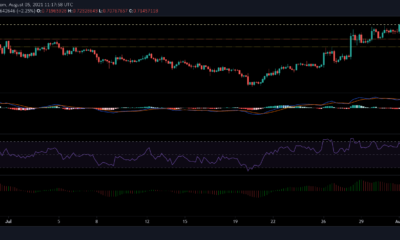 XRP、Monero、DASHの価格分析：8月5日