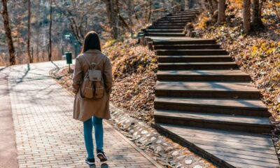 ホスキンソンは、カルダノはイーサリアム、ビットコインとは「異なる道」にあると言います