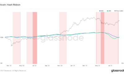 これは、これらの市場プレーヤーがビットコインにどのように影響するかです