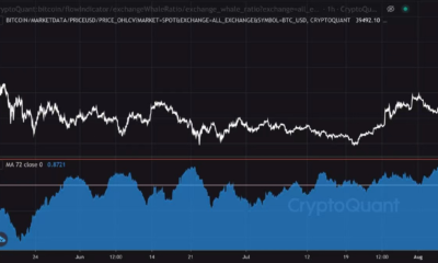 ビットコイン：あなたが長期保有者またはトレーダーである場合にすべきこととすべきでないこと