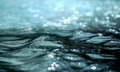 リップルは、SEC従業員のXRP保有に関する開示を要求します