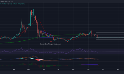 ビットコインキャッシュが今後数週間で下り坂になるので、投資家は自分自身を支える必要があります