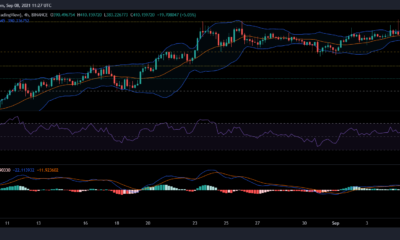 Binance Coin、MATICおよびWavesの価格分析：9月8日