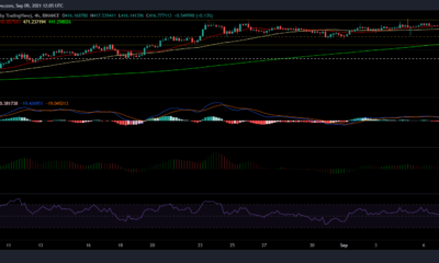 Binance Coin、BAT、およびDogecoinの価格分析：9月9日