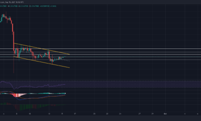 Dogecoinの最良の結果は次のようになります