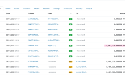 XRPクジラの突然の活動はこれを意味するかもしれません