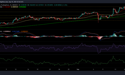 Tron、EOS、ビットコインの現金価格分析：9月19日