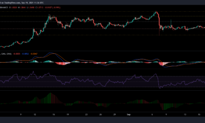 XRP、ポルカドット、テラの価格分析：9月19日