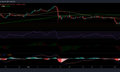 XRP、Synthetix、DASHの価格分析：9月24日