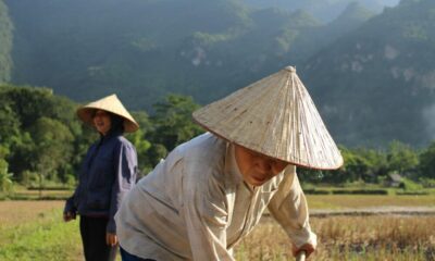 ベトナムで暗号通貨マイニングリグの需要が高い理由はここにあります