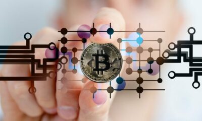 ビットコイン：この「最後のサイクル」について知っておくべきこと