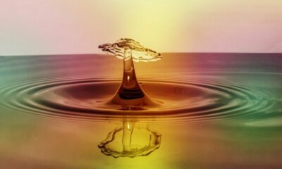 XRP訴訟：リップルはSECを「思いがけない動きの練習」で非難している