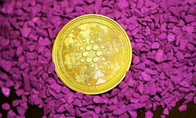 カルダノのホスキンソンは、コンプライアンスのためにこのメッセージを持っています「FUDsters」