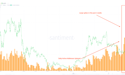 XRPが実際に強気であるかどうかとその程度を評価する