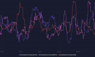 ビットコインの集会に照らして、ALGO、MATIC、XLMなどの1ドルの代替案から何を期待するか