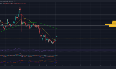 ビットコインキャッシュ：今後48時間で何を期待するか