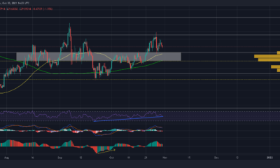 このサポートゾーンはChainlinkの強気な見通しを維持することができます
