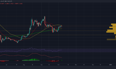 XRP：トレーダーにとって最善の行動方針は何ですか？