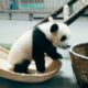 BitmainのJihanWuが、中国の暗号通貨の取り締まり後の「成長の次の段階」について話し合う