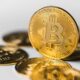 MicroStrategyは、「取得を継続している」ため、現在、約114,042ビットコインを保有しています。