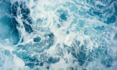 XRP訴訟：裁判所は「特権ログ」を封印するリップルの申し立てを認める