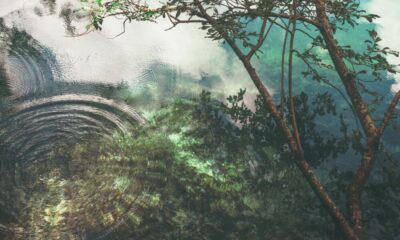 SECv。Ripple：50,000人以上のXRP保有者と「友人」が…