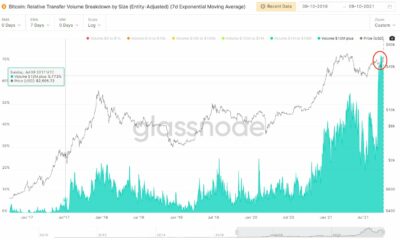 進行中のビットコインブームは、機関を長期的なHODLerに変える可能性があります