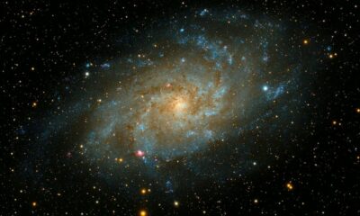 CosmosはSaganを立ち上げ、「新しいイニシアチブの実験」に道を譲ります