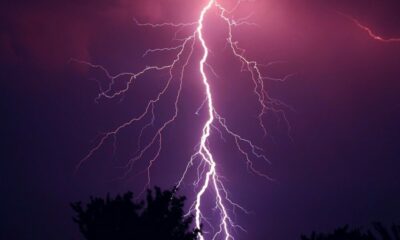 ビットコインライトニングネットワーク：「リンゴとオレンジ」の比較がうまくいかない理由