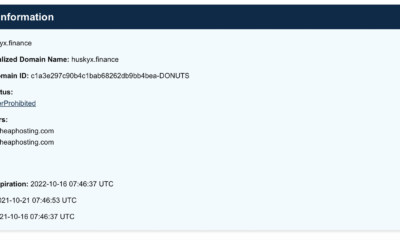 67,000％急上昇したコインHUSKYXを購入する前に、これを知っておく必要があります