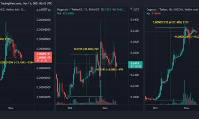 Do Shiba Inu、Dogecoin、DogelonMarsには「かみ傷」が残っています