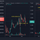 Do Shiba Inu、Dogecoin、DogelonMarsには「かみ傷」が残っています