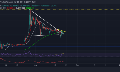 柴犬、チェーンリンク、VeChain価格分析：11月21日