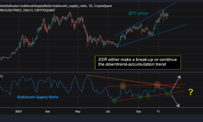 ビットコイン：11月には40％の増加が見られるかもしれませんが、近い将来はどうなるでしょうか