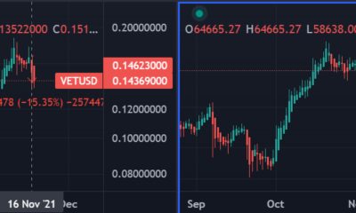 VeChainは市場の期待を覆しますが、それはどういう意味ですか
