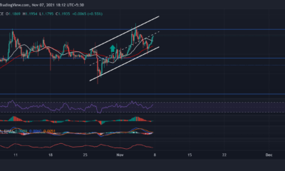 XRP、Tezos、Axie Infinity価格分析：11月7日