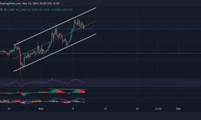 XRP、ソラナ、OMG価格分析：11月10日