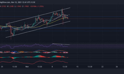 XRP、柴犬、ループリング価格分析：11月12日