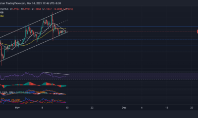 XRP、ソラナ、ドージコイン価格分析：11月14日