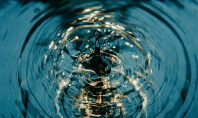 XRP訴訟：SECは和解または却下しますか。 議会は暗号について「広く」何ができるか
