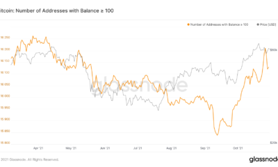 クジラはビットコインが今月浮かんでいるのを助けたかもしれません